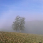 Nebel überm Jagsttal II